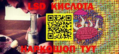 гашик Кулебаки