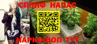 гашик Кулебаки